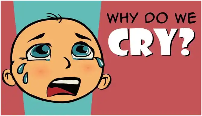 Why do we cry?