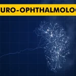 Understanding Neuro-Ophthalmology: Common Disorders and Their Impact on Vision