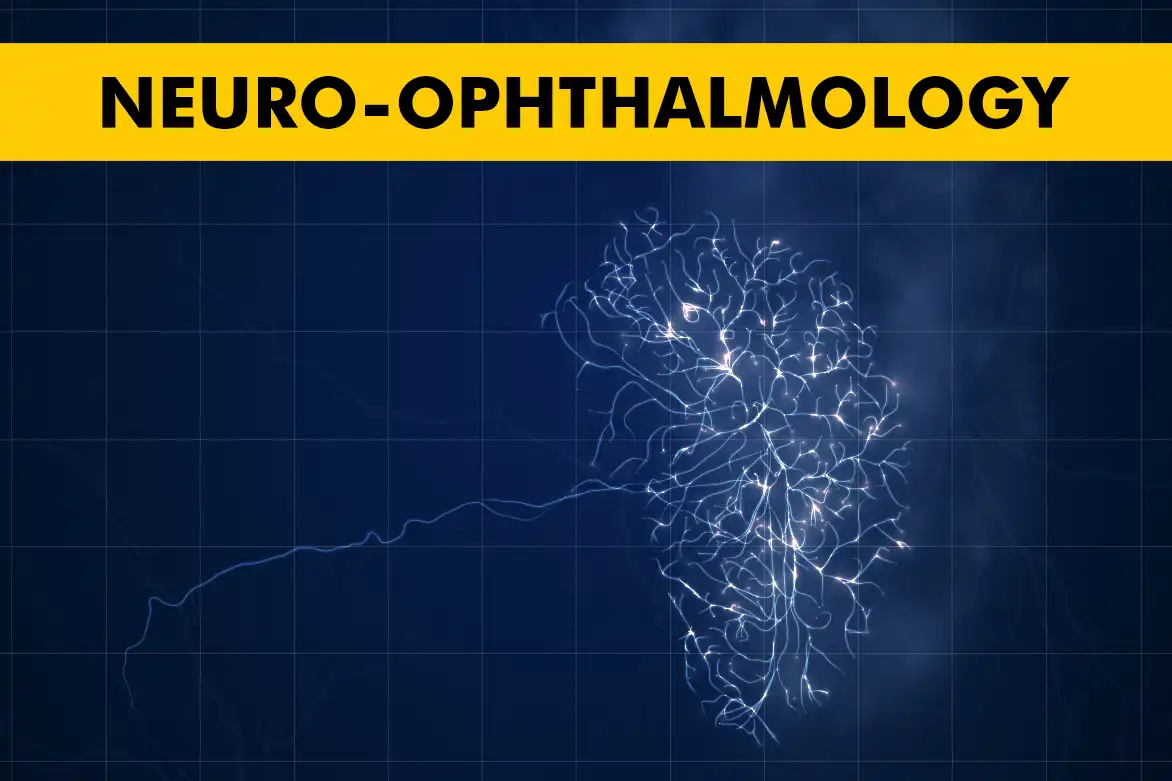 Understanding Neuro-Ophthalmology: Common Disorders and Their Impact on Vision